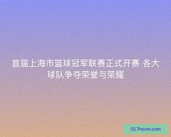 首届上海市篮球冠军联赛正式开赛 各大球队争夺荣誉与荣耀